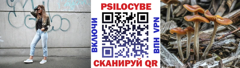 Галлюциногенные грибы прущие грибы  где продают наркотики  Приволжский 